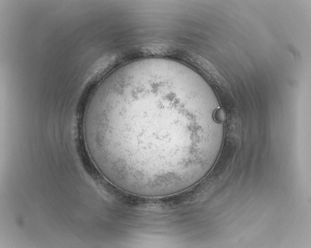 X0000115680738200911251751