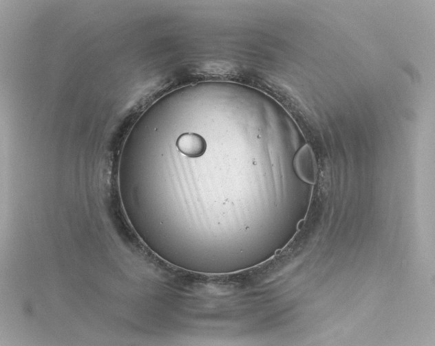 X0000115680739200911251751