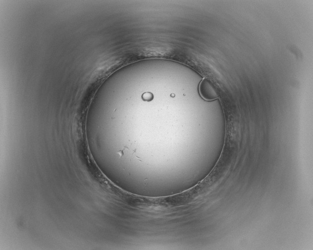 X0000115680743200911251751