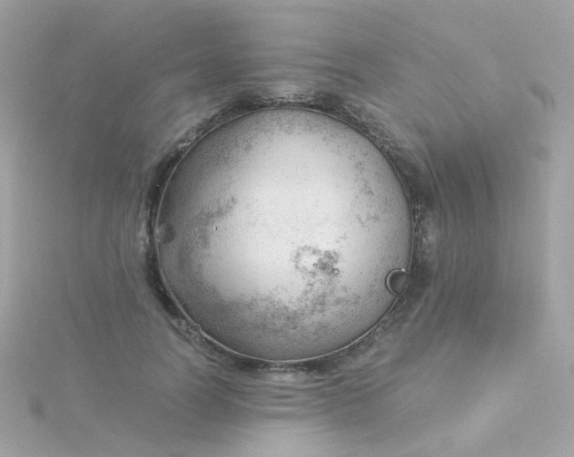 X0000115680746200911251751