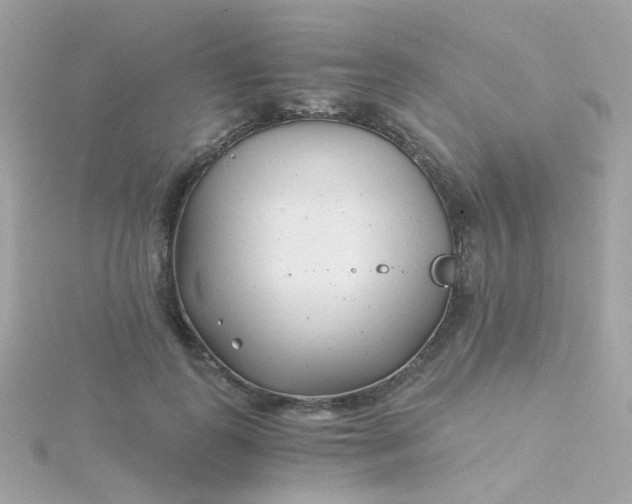 X0000115680747200911251751