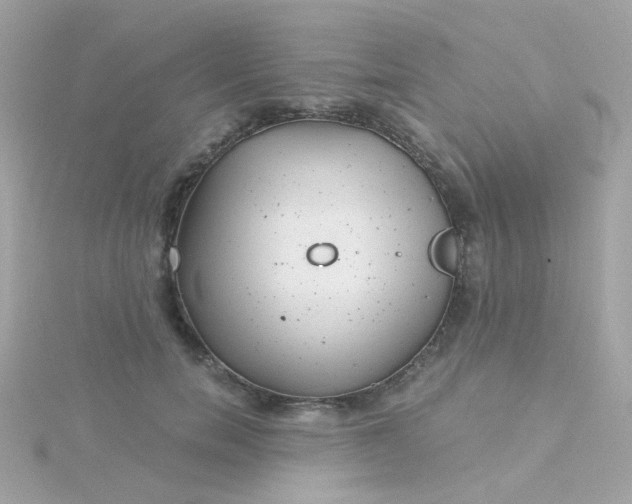 X0000115680750200911251751