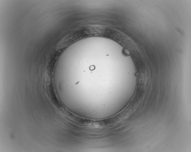 X0000115680751200911251751