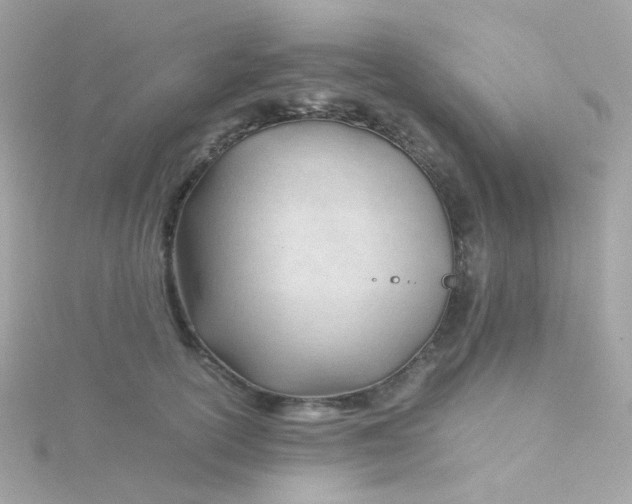 X0000115680754200911251751