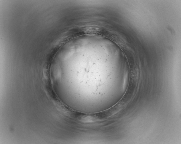 X0000115680755200911251751