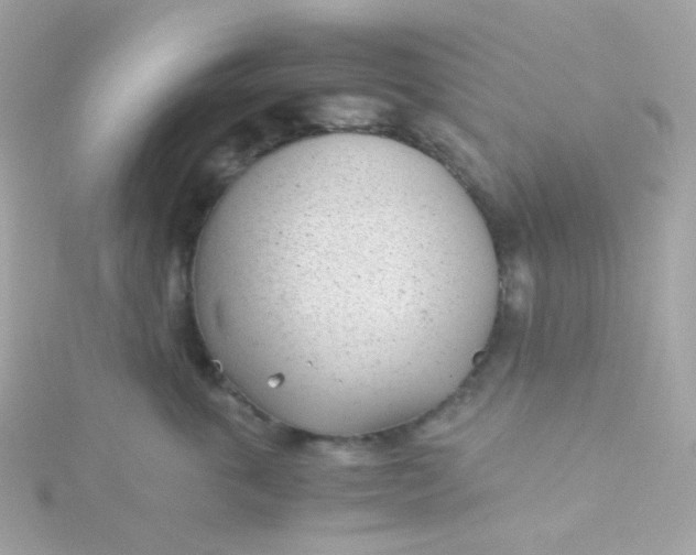 X0000115680763200911251752