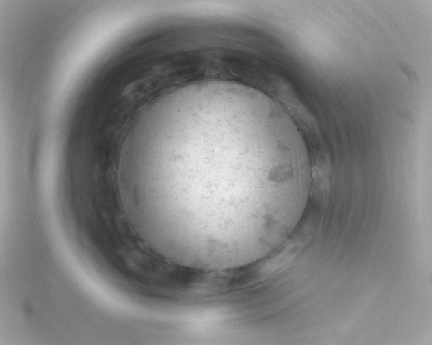 X0000115680765200911251752