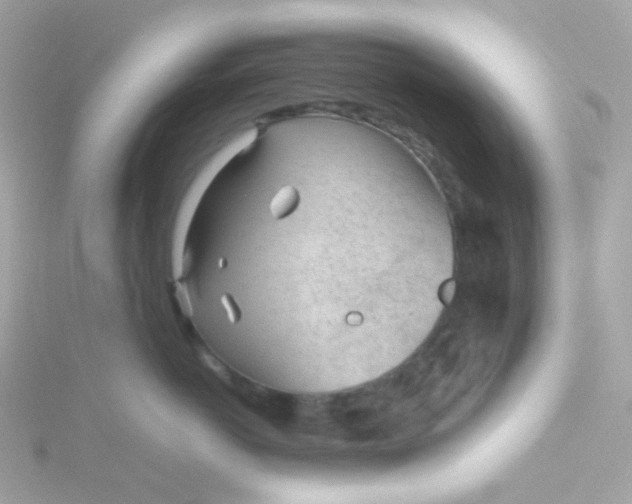 X0000115680766200911251752