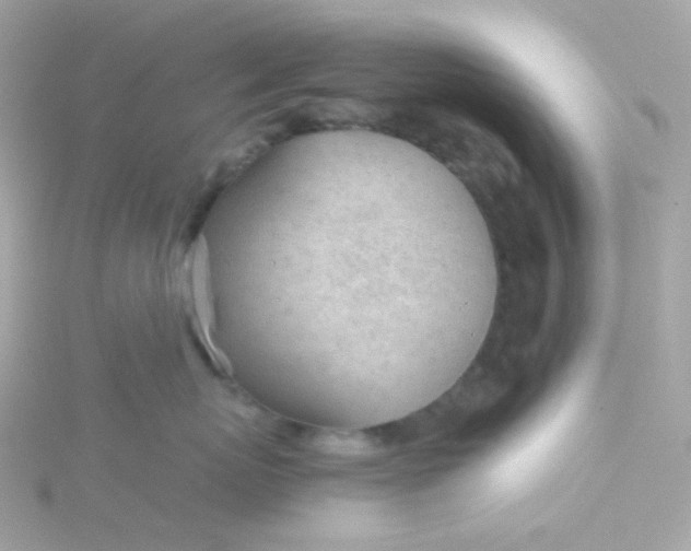 X0000115680767200911251752