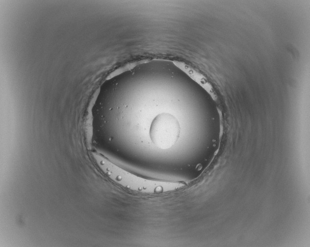 X0000115680769200911251751