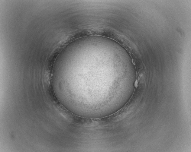 X0000115680772200911251751