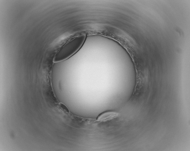 X0000115680773200911251751