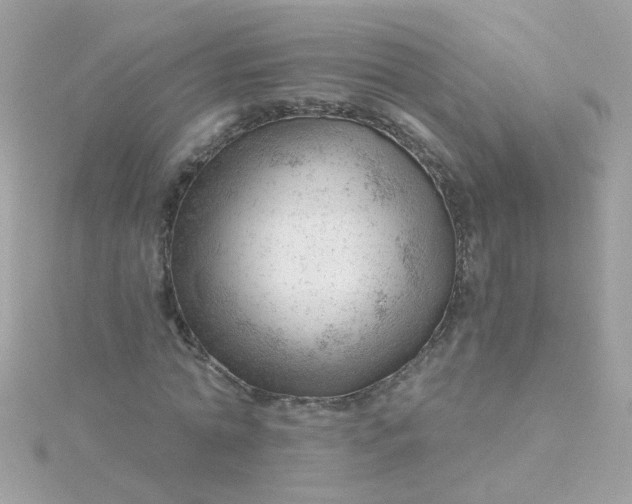 X0000115680774200911251751