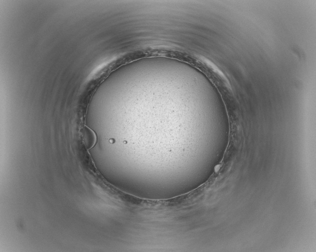 X0000115680775200911251751