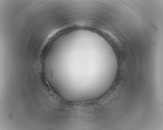 X0000115680776200911251751