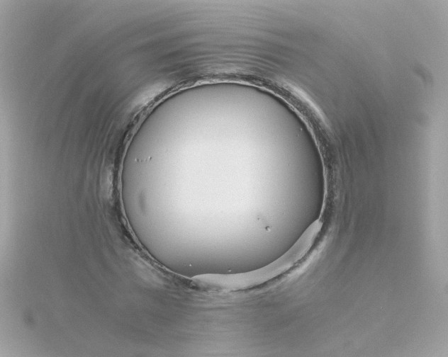 X0000115680777200911251751