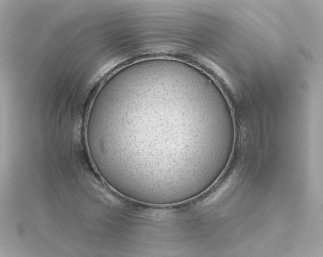 X0000115680778200911251751