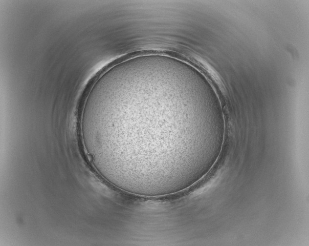 X0000115680779200911251751