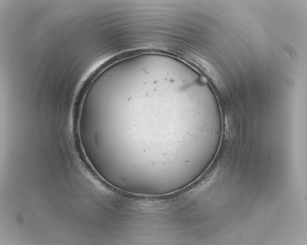 X0000115680780200911251751