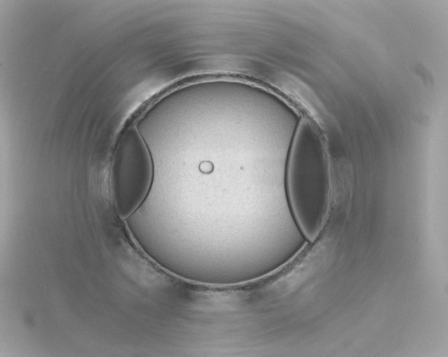 X0000115680781200911251751