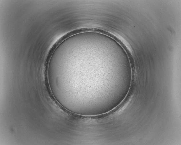 X0000115680783200911251751