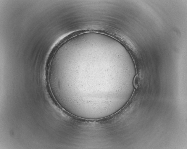 X0000115680784200911251751