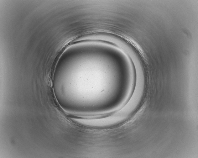 X0000115680785200911251751