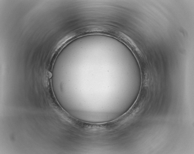 X0000115680786200911251751