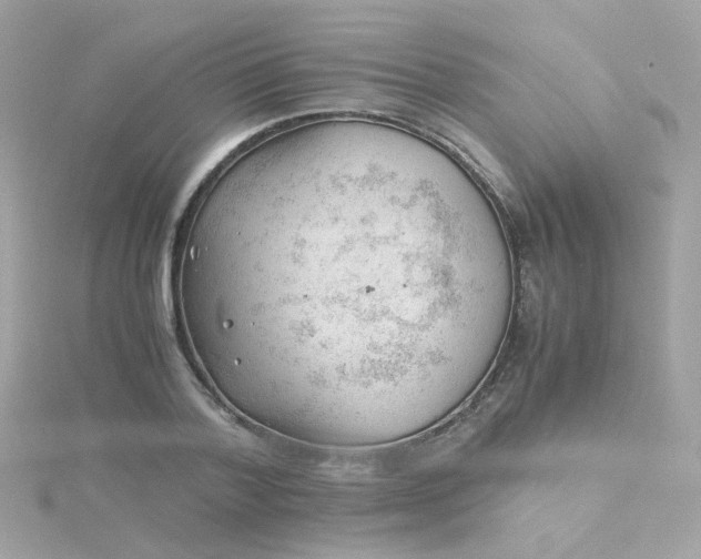 X0000115680788200911251751