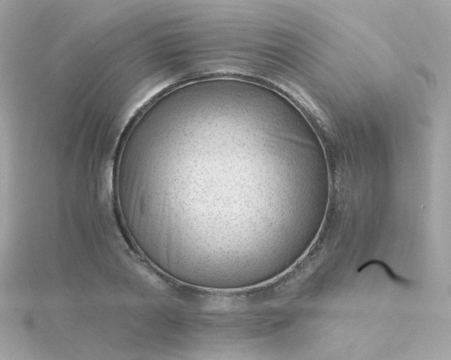 X0000115680790200911251751