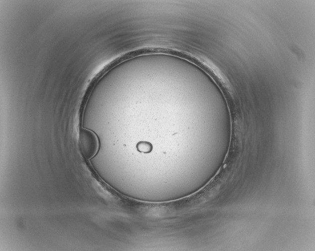 X0000115680791200911251751