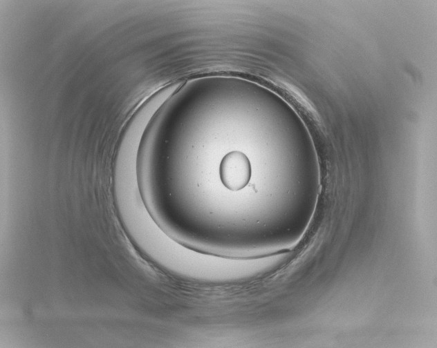 X0000115680793200911251751