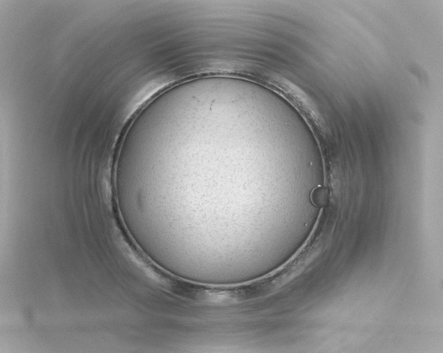 X0000115680794200911251751