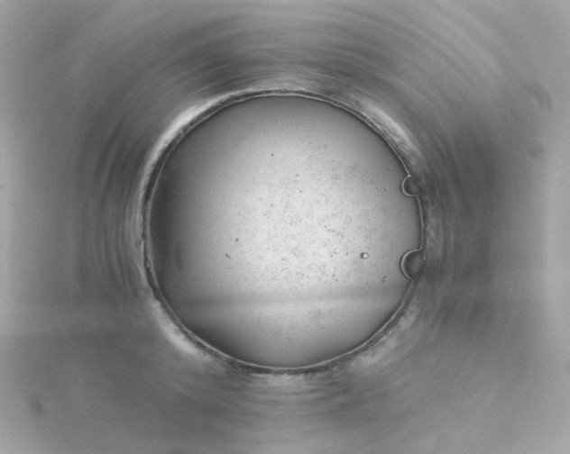 X0000115680800200911251751