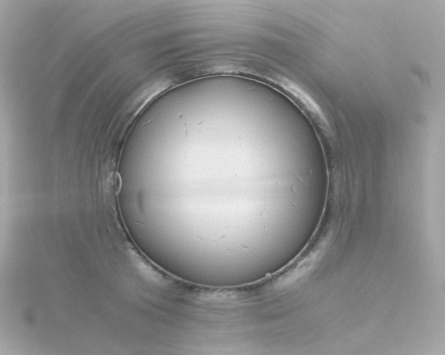 X0000115680801200911251751