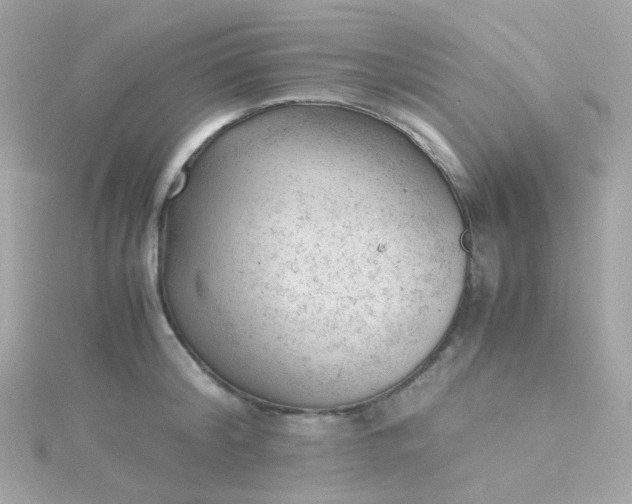 X0000115680804200911251751