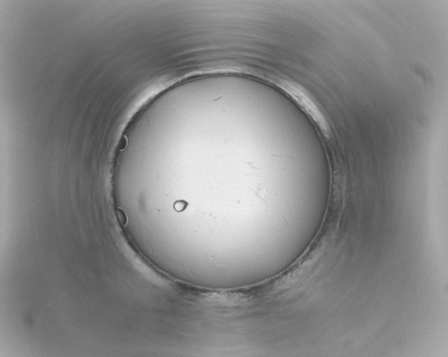 X0000115680805200911251751