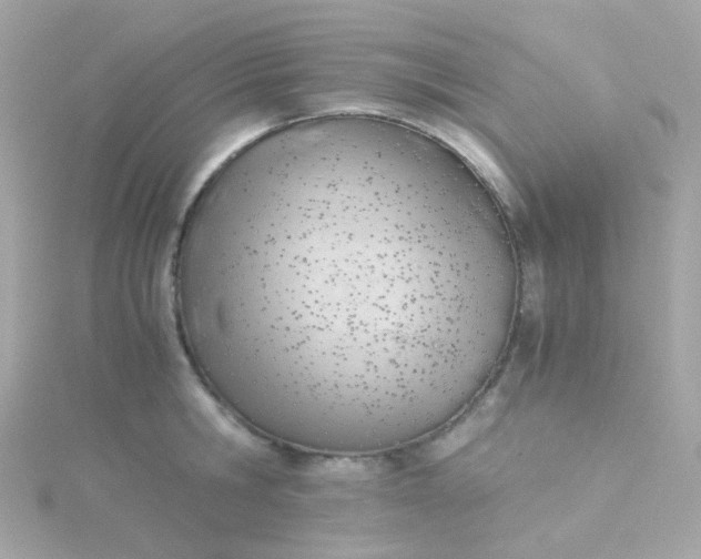 X0000115680806200911251751