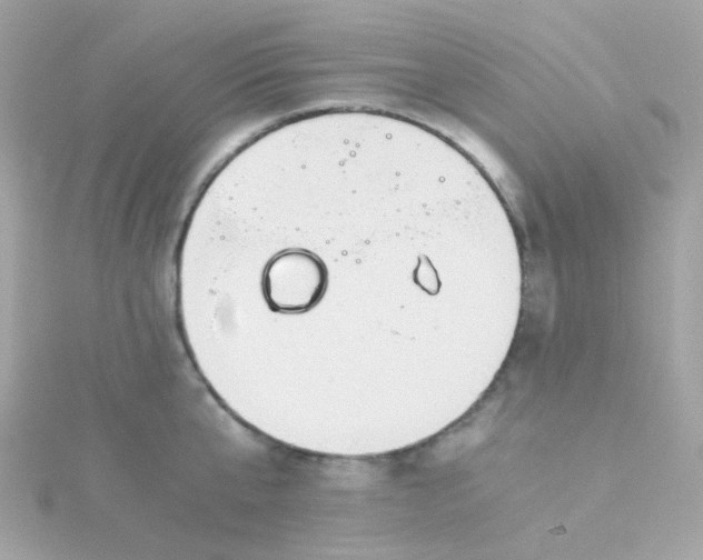 X0000115680807200911251751