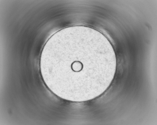 X0000115680810200911251750