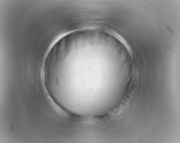 X0000115680811200911251750