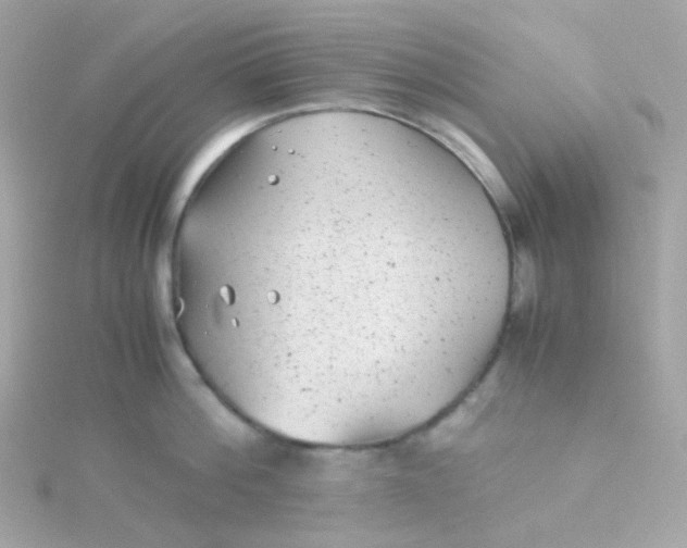 X0000115680812200911251750