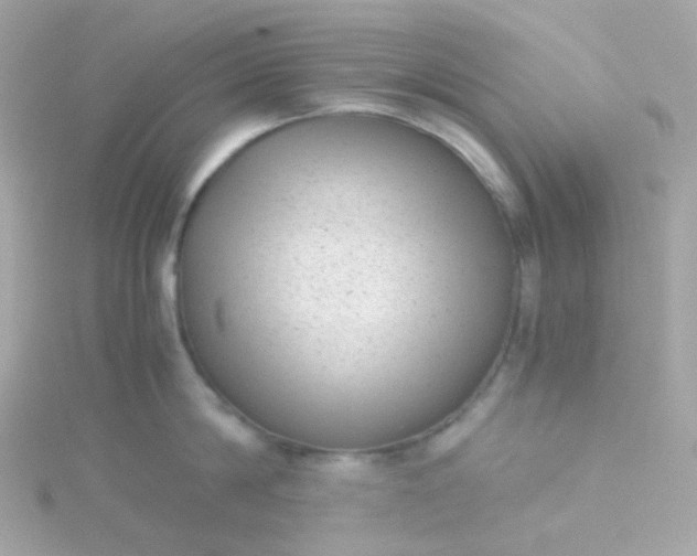 X0000115680814200911251750