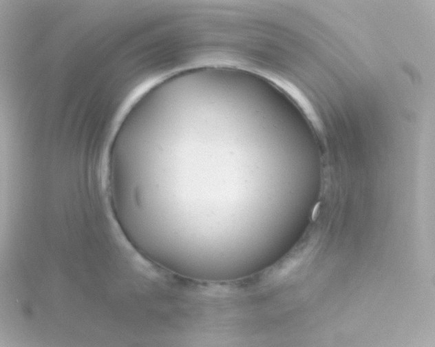 X0000115680815200911251750