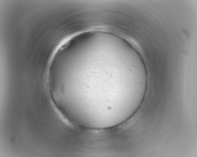 X0000115680816200911251750