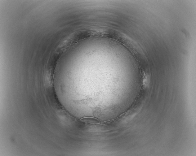 X0000115680819200911251750