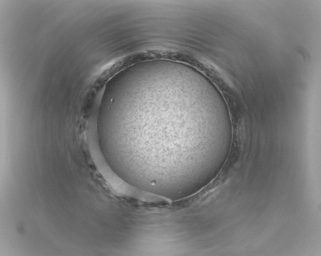 X0000115680822200911251750