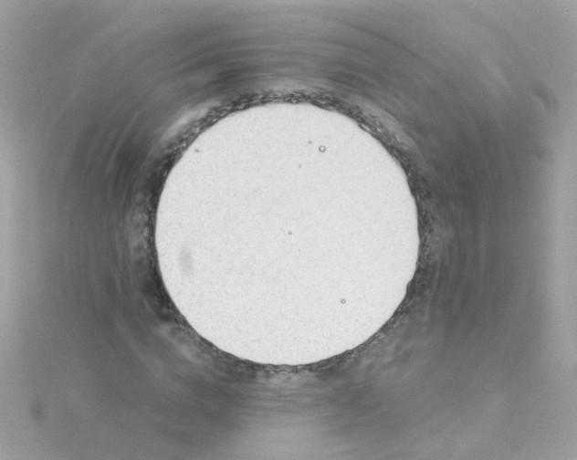 X0000115680824200911251750