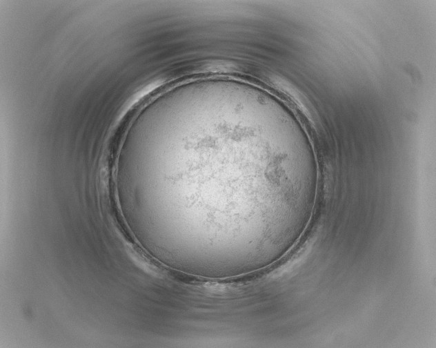 X0000115680827200911251750