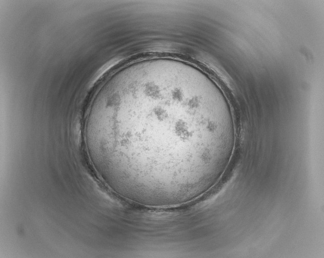 X0000115680829200911251750